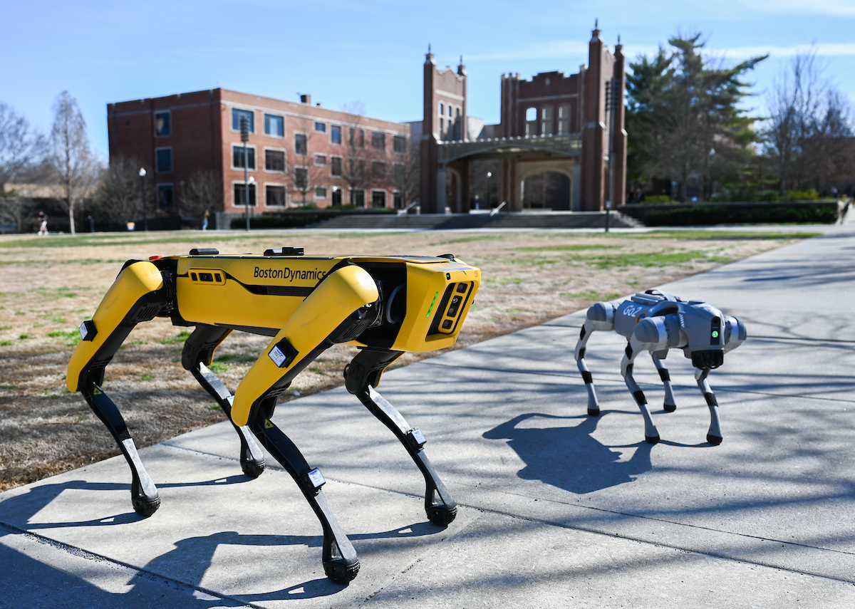 Robotic Dogs